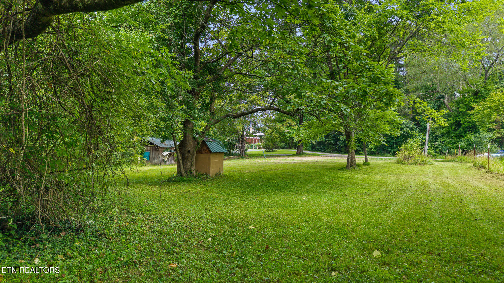 195 Hicks Road Decatur, TN 37322 - Photo 12 of 15 195 Crisp Ln-11