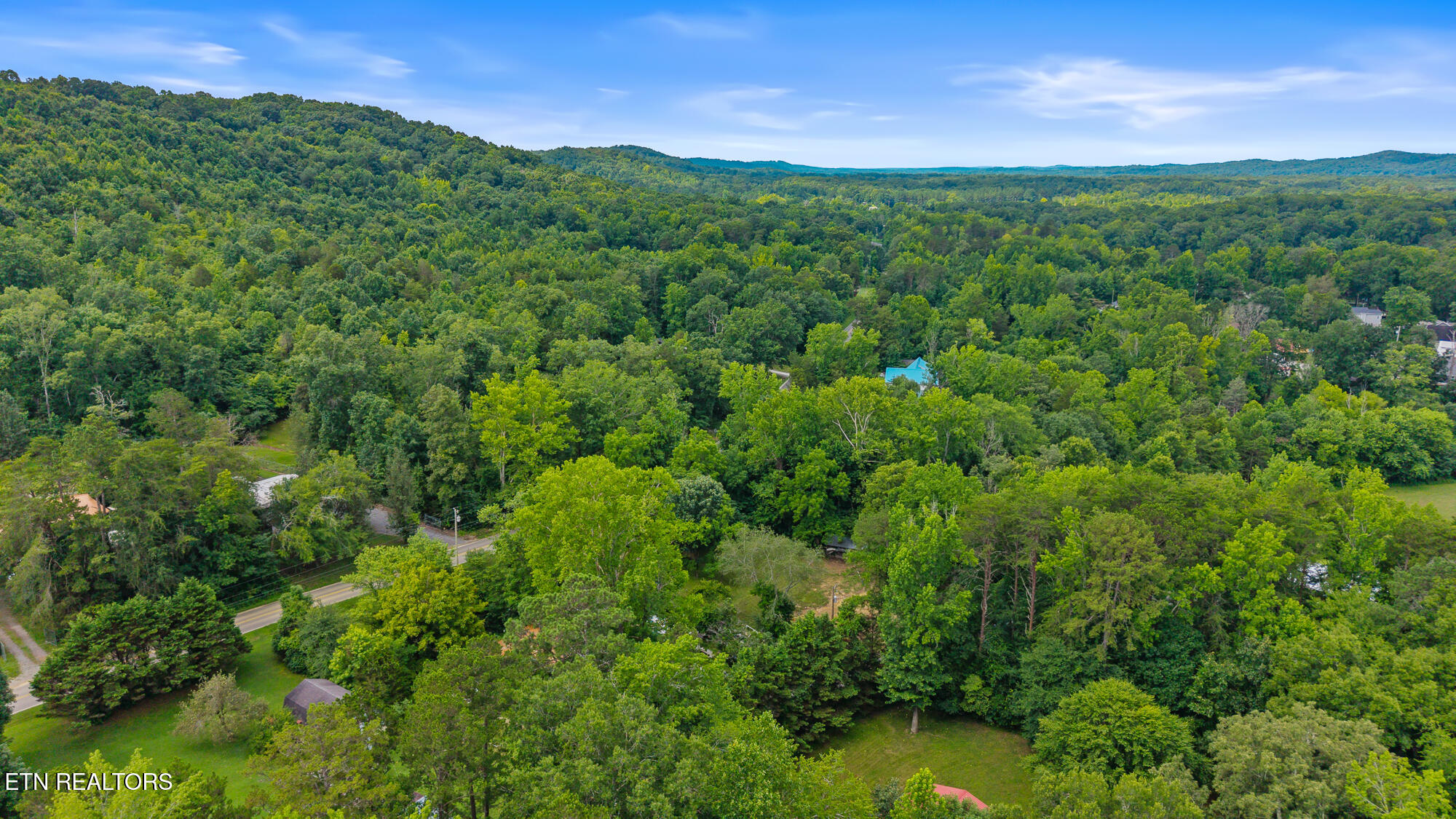 195 Hicks Road Decatur, TN 37322 - Photo 9 of 15 195 Crisp Ln-6