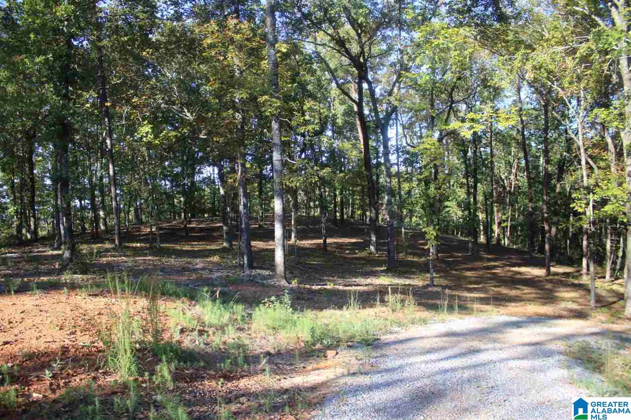 644 Washboard Road, Unit LOT 1 Columbiana, AL 35051 - Photo 2 of 9