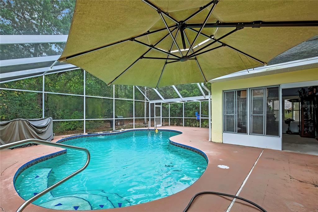 46 Greentree Street Homosassa, FL 34446 - Photo 33 of 49 a view of a swimming pool with a patio