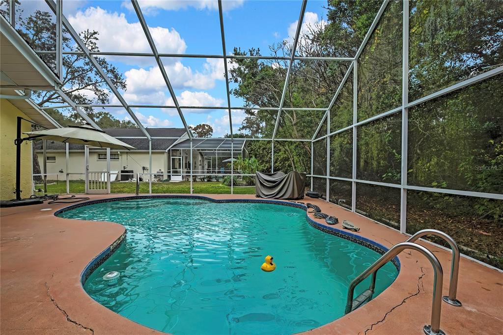 46 Greentree Street Homosassa, FL 34446 - Photo 35 of 49 a view of a swimming pool with a patio