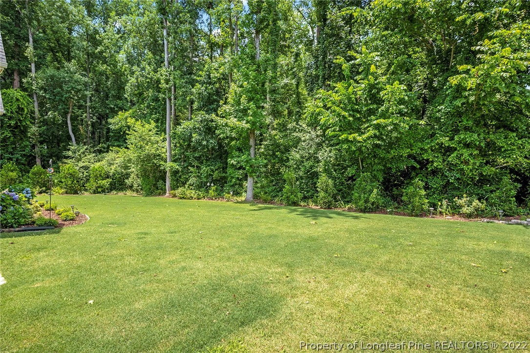 4139 Olde Judd Drive Willow Spring, NC 27592 - Photo 38 of 42 a view of outdoor space with deck and yard