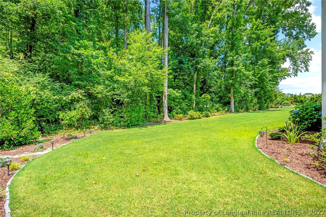4139 Olde Judd Drive Willow Spring, NC 27592 - Photo 39 of 42 a view of a garden with a tree