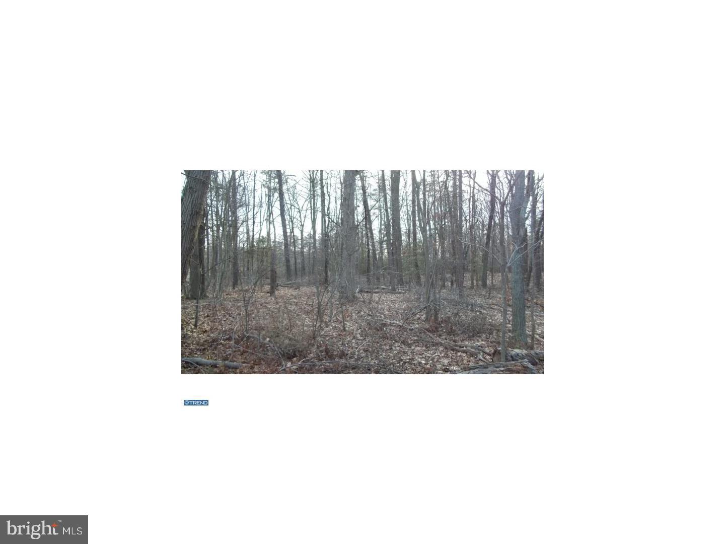 0 Quinton-Marlboro Road Salem, NJ 08079 - Photo 11 of 13