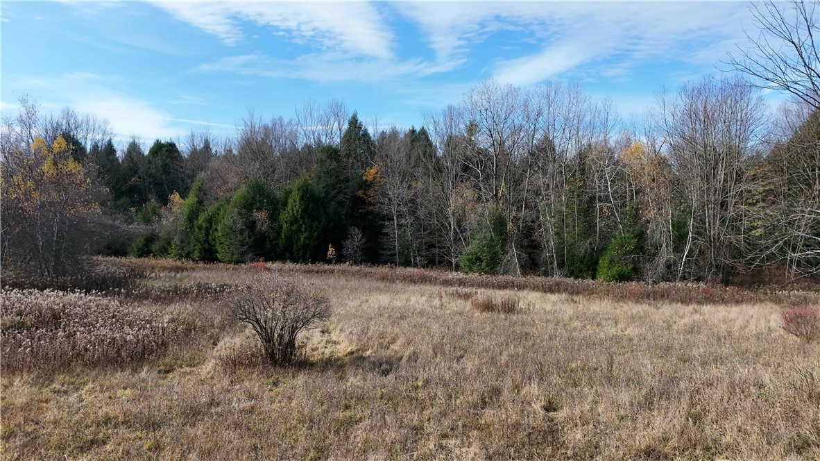 199 White Road Parish, NY 13131 - Photo 22 of 27