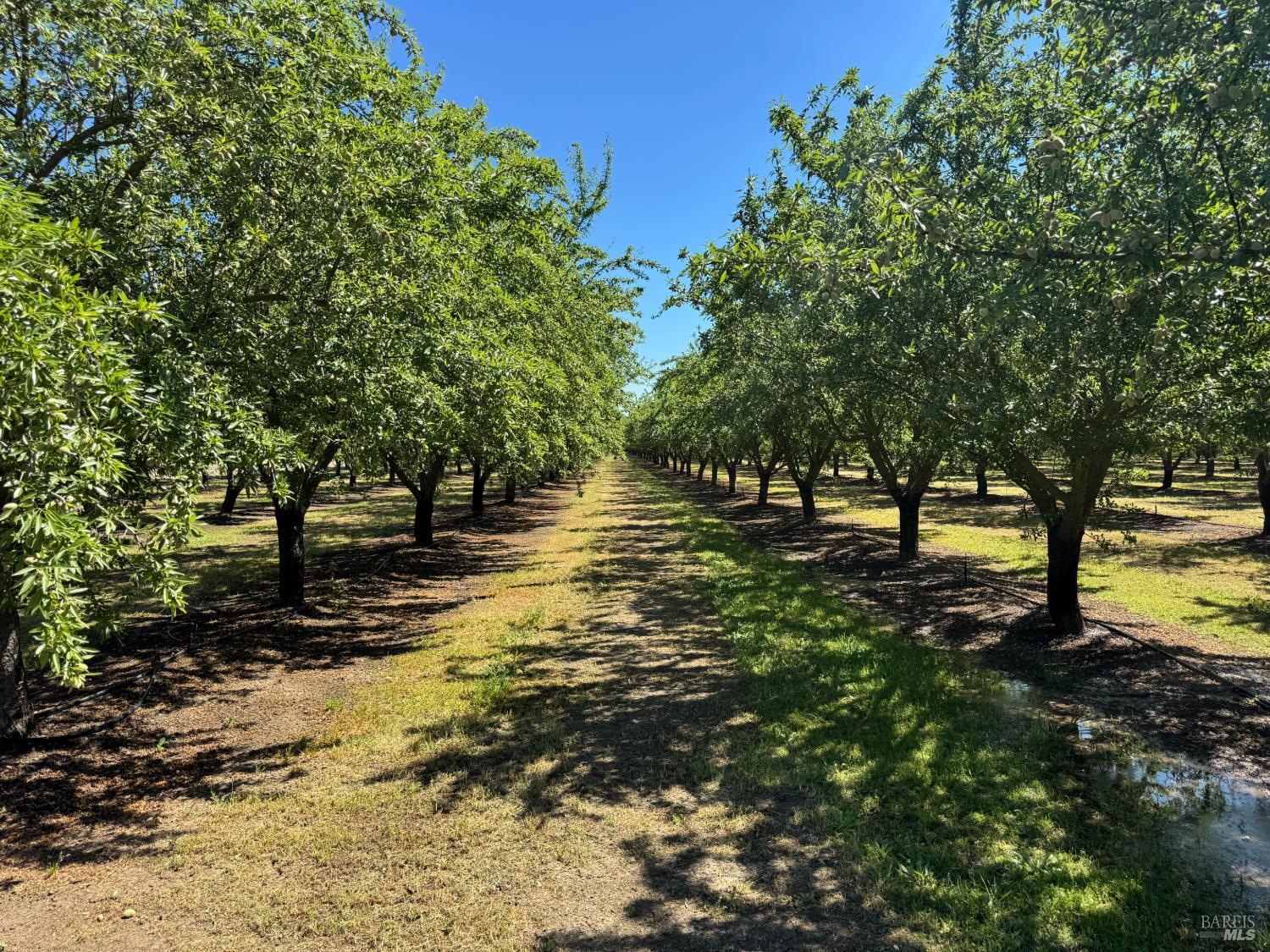 7948 North Meridian Road Dixon, CA 95620 - Photo 4 of 59
