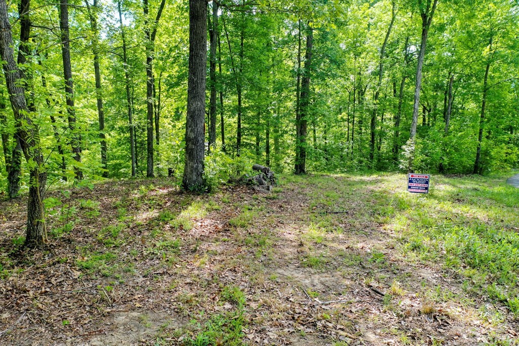 23 Sandy Ridge Road Dandridge, TN 37725 - Photo 37 of 37