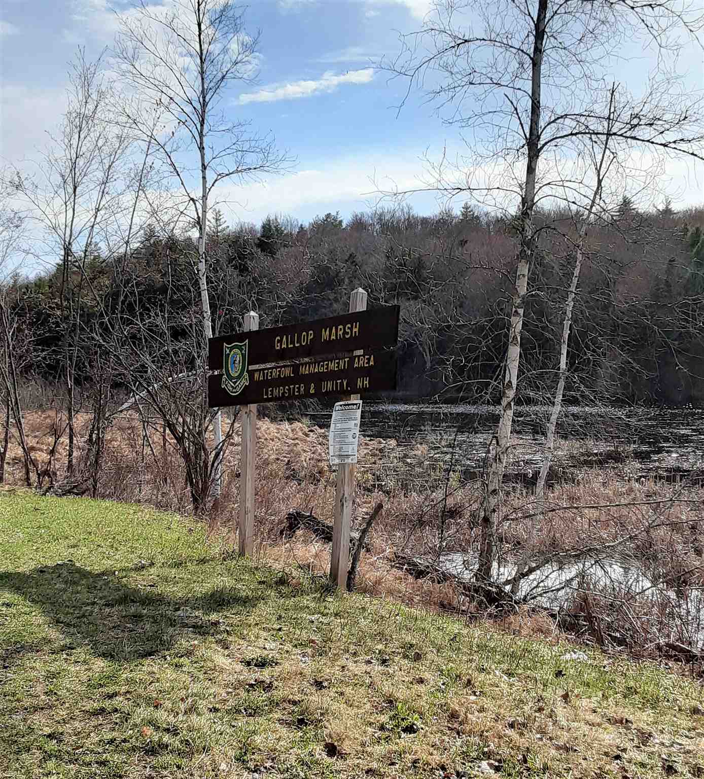 24 Stage Road Lempster, NH 03605 - Photo 28 of 29