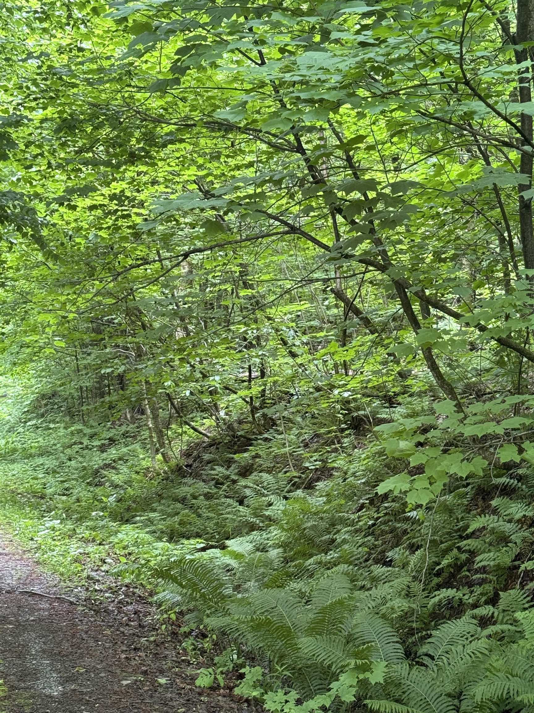 680 Deming Road Enosburg Falls, VT 05450 - Photo 2 of 8
