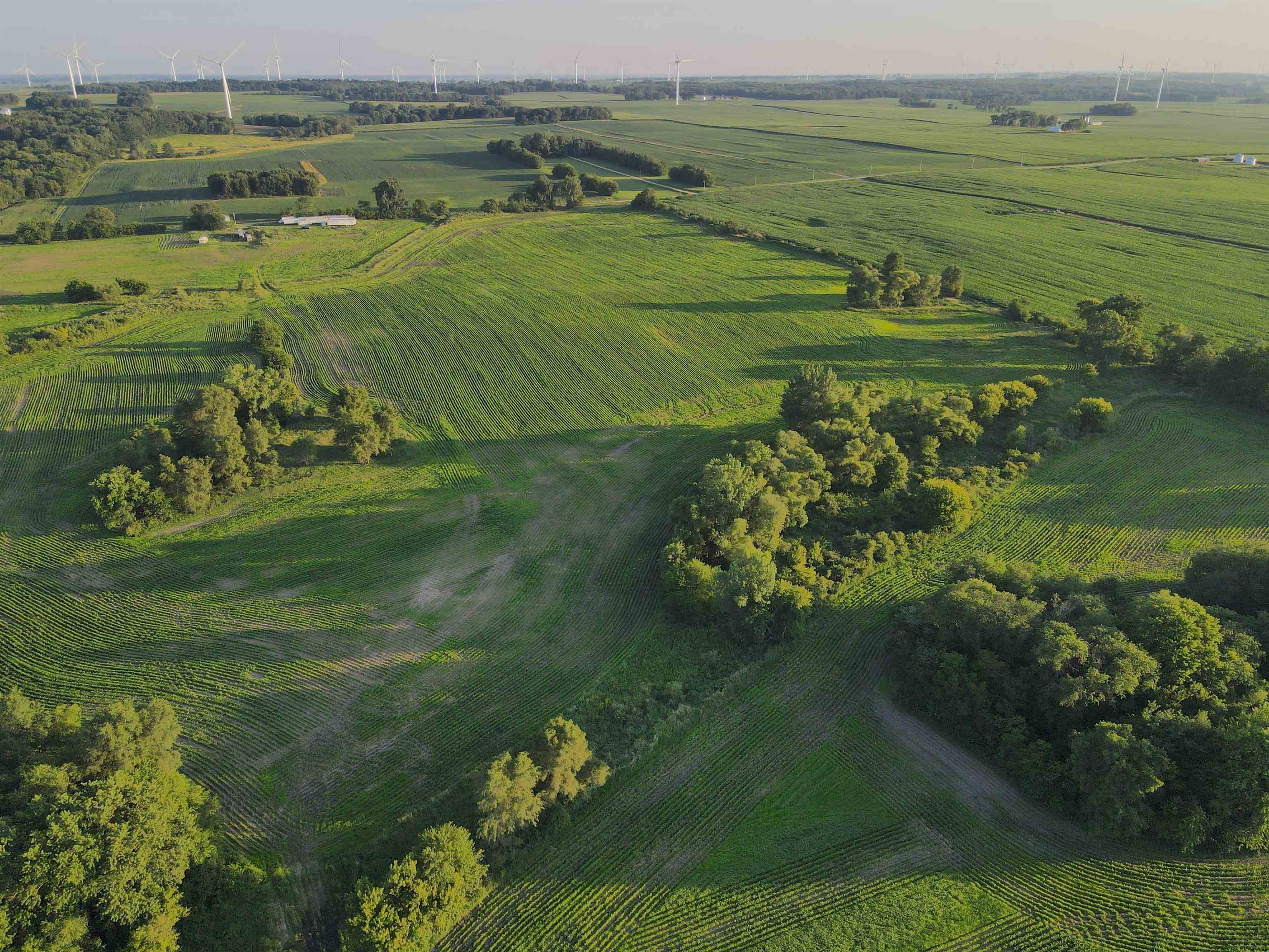 0 Todd Road Amboy, IL 61310 - Photo 19 of 58