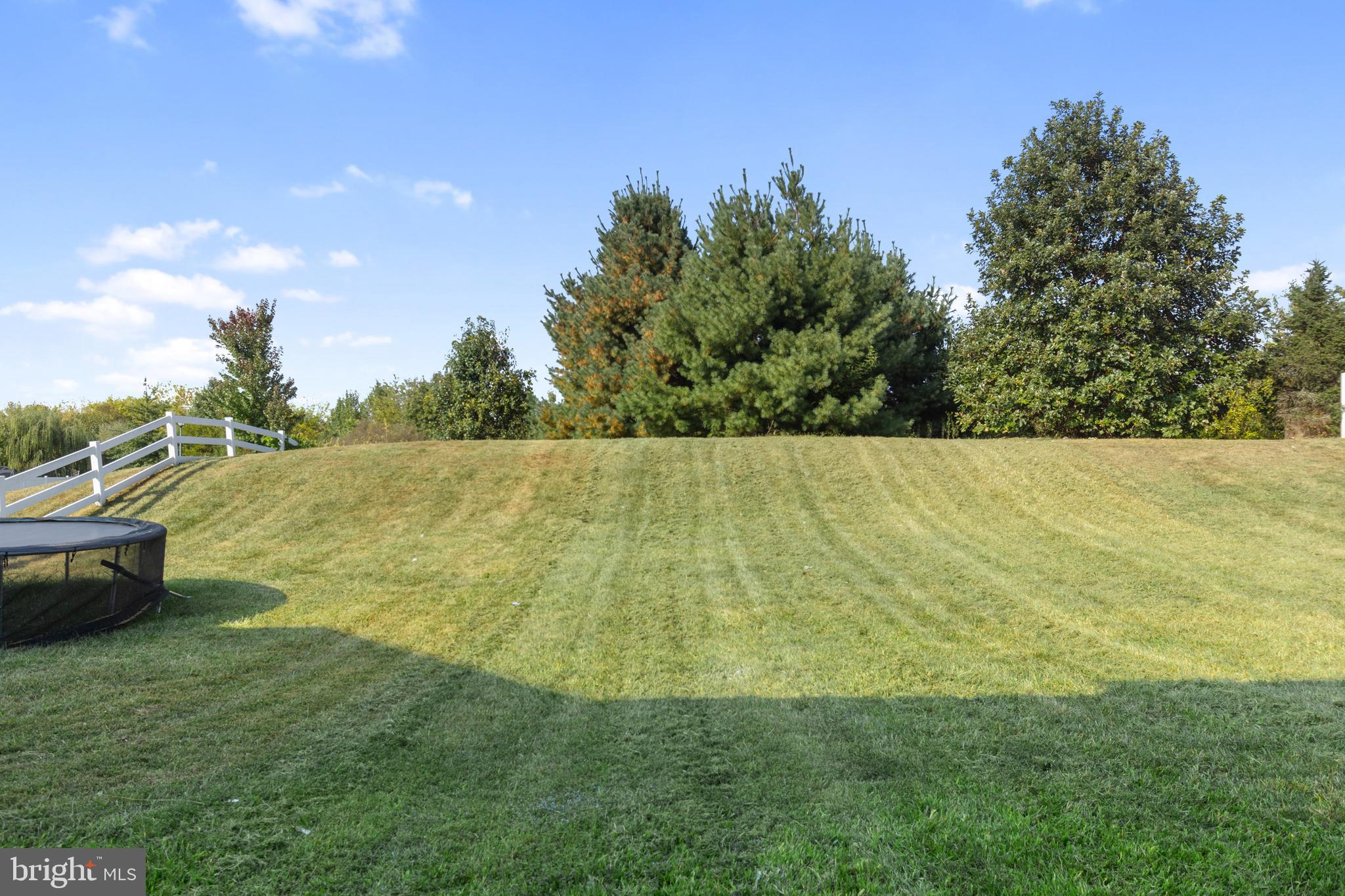 62 Springfield Circle Middletown, DE 19709 - Photo 32 of 48 Backyard View