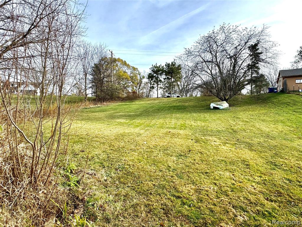0 Butcher Road Fenton, MI 48430 - Photo 5 of 6