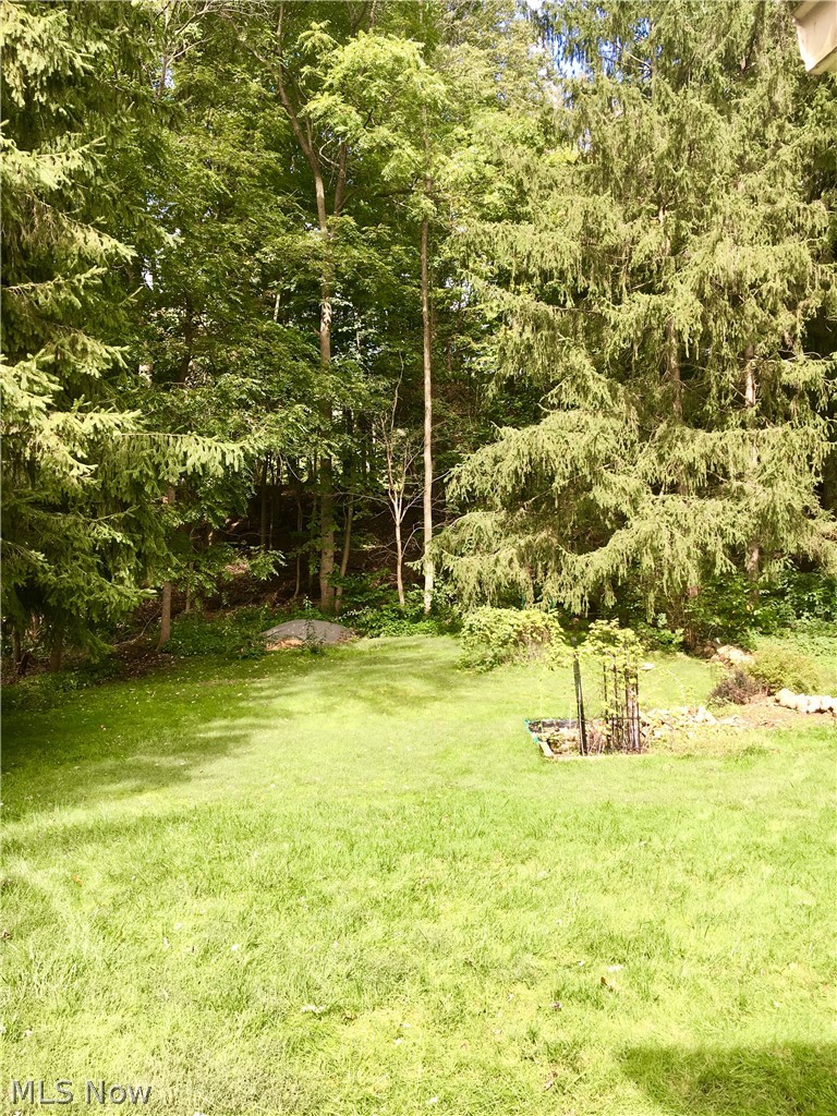 258 Miles Road Chagrin Falls, OH 44022 - Photo 2 of 20 Gallery Image 2