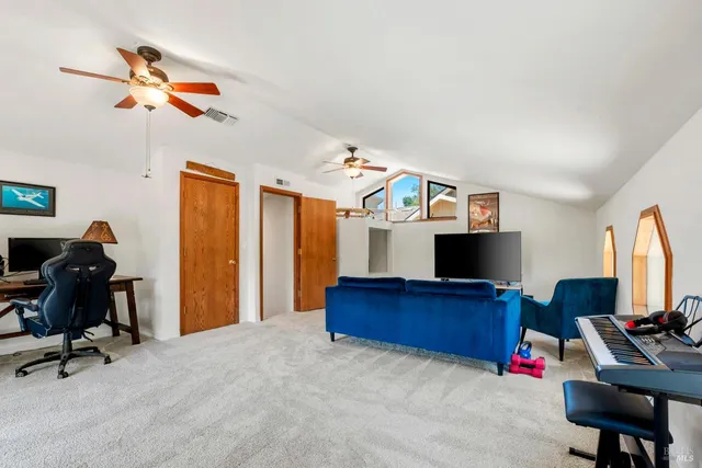 a view of a park with large trees