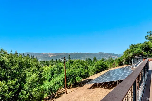 a view of a city with lush green forest