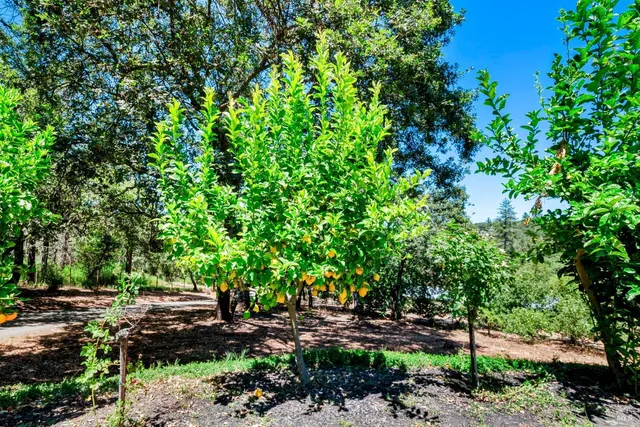 $1,995,000 | 305 West Lane, Angwin, CA 94508