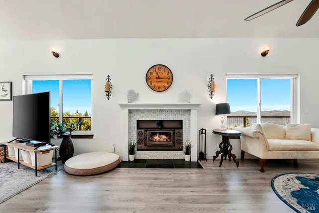 a living room with furniture and a rug