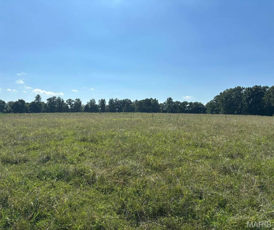 0 Hall Road Macomb, MO 65702 - Photo 4 of 10