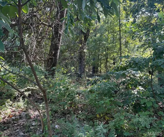 $140,000 | 0 Hall Road, Macomb, MO 65702