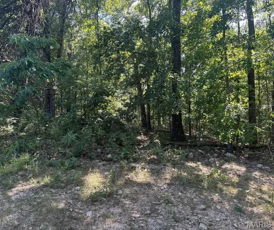 $252,000 | 0 Hall Road, Macomb, MO 65702