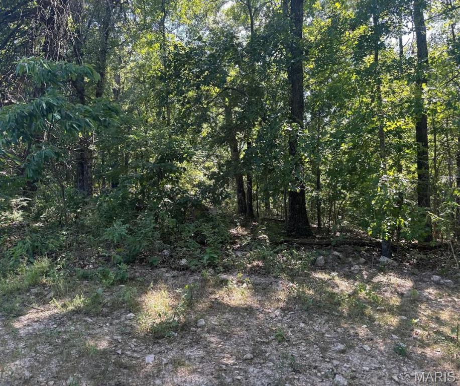 0 Hall Road Macomb, MO 65702 - Photo 7 of 10