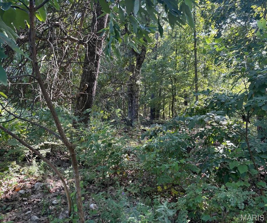 0 Hall Road Macomb, MO 65702 - Photo 8 of 10