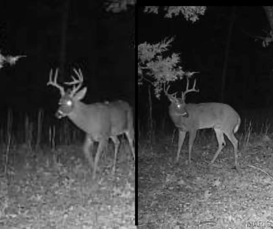 0 Hall Road Macomb, MO 65702 - Photo 10 of 10