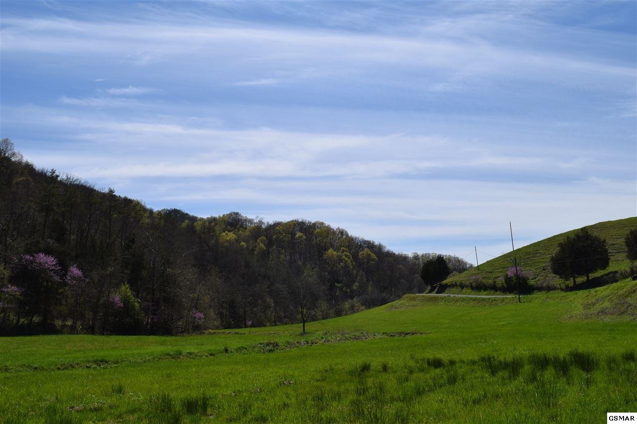 617 War Creek Road Eidson, TN 37731 - Photo 33 of 35