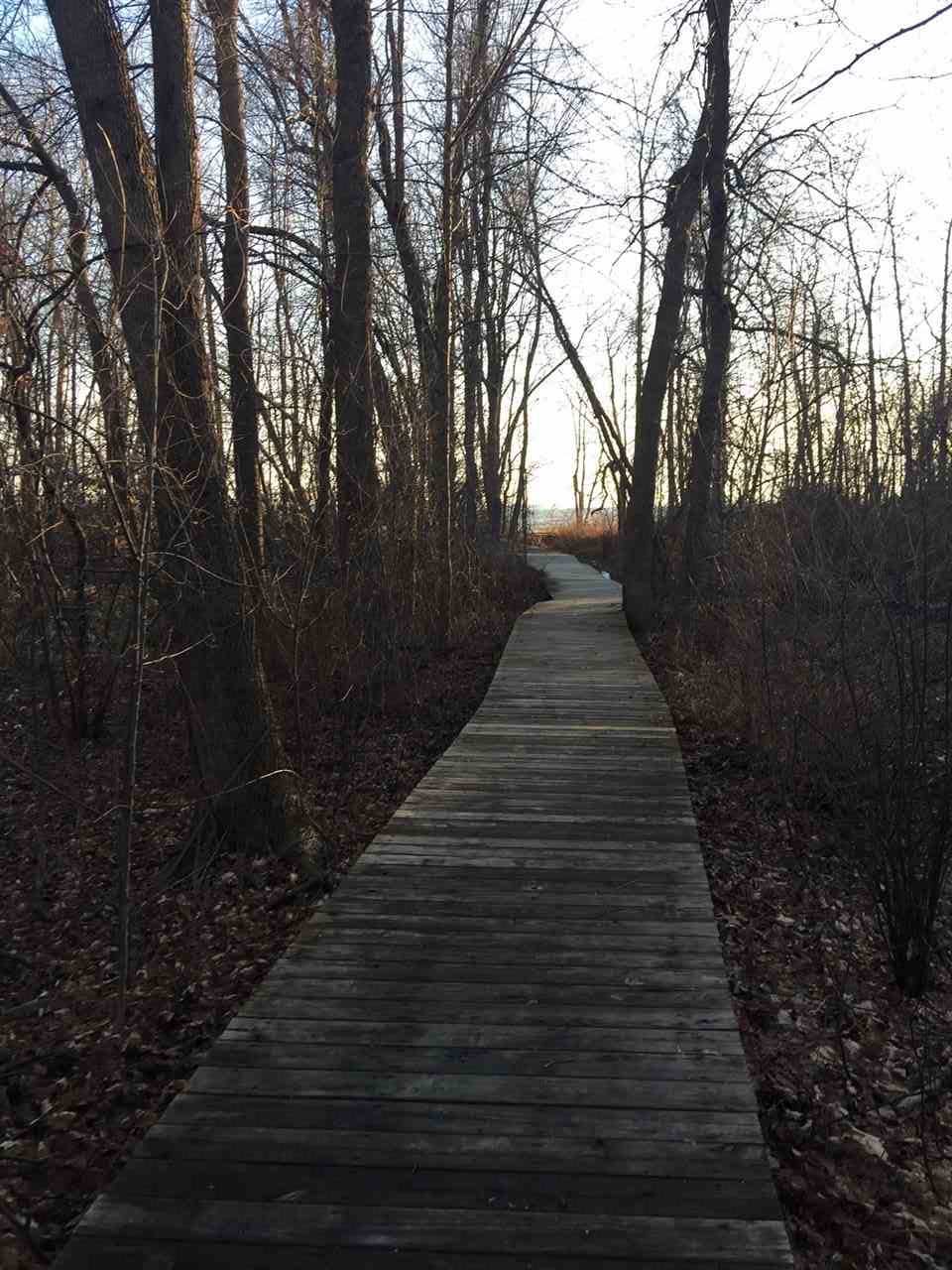 119 Cumberland Road, Unit 31 Burlington, VT 05408 - Photo 21 of 30 Gallery Image 21