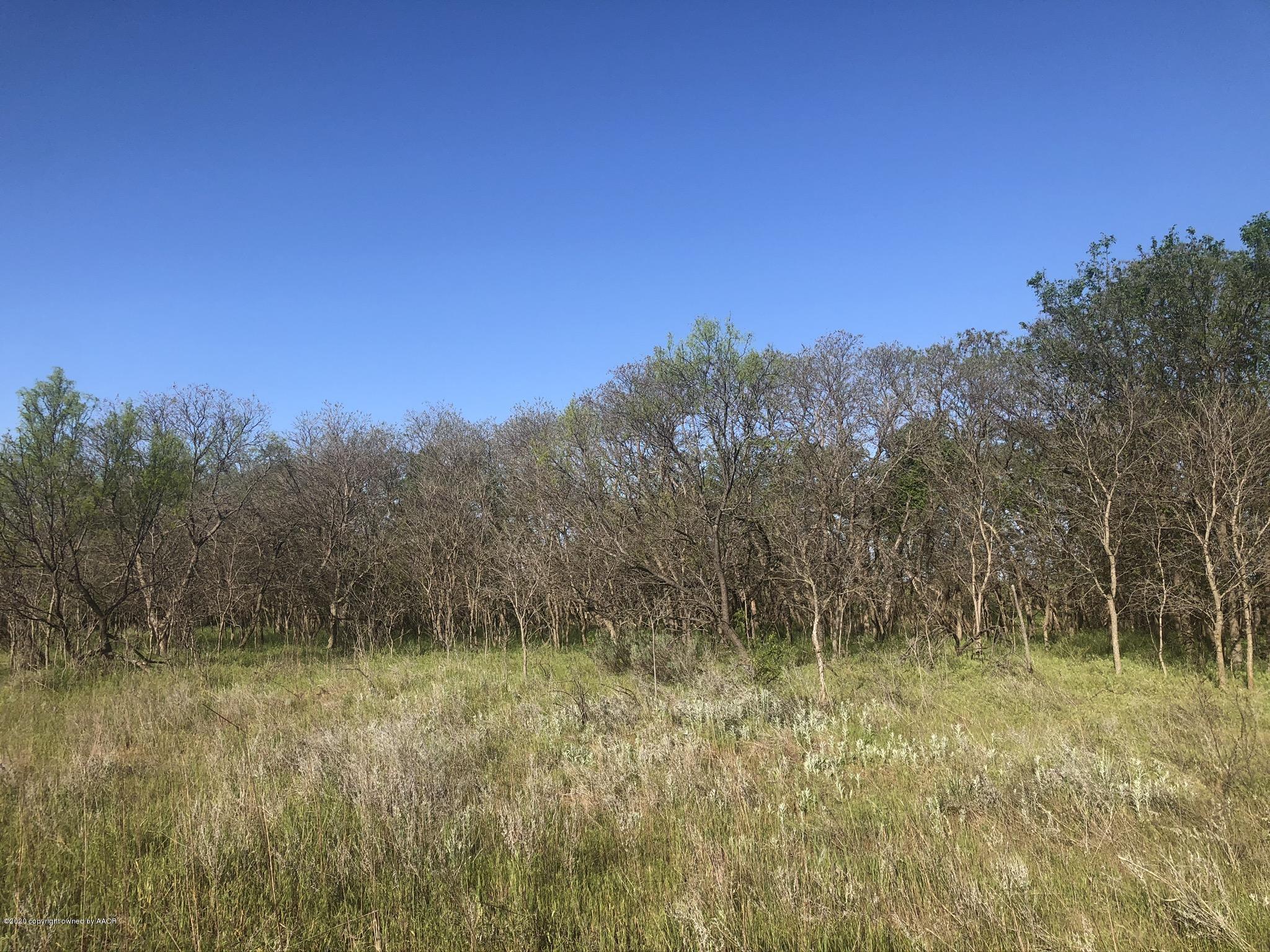 268 & Co Road Childress, TX 79201 - Photo 16 of 44 IMG_9110