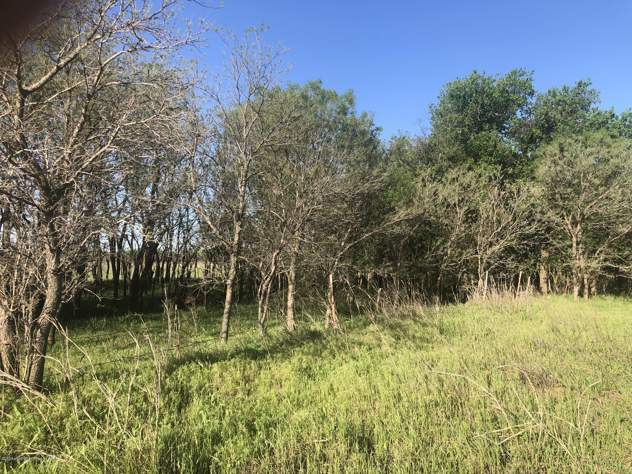 268 & Co Road Childress, TX 79201 - Photo 3 of 44 IMG_9094