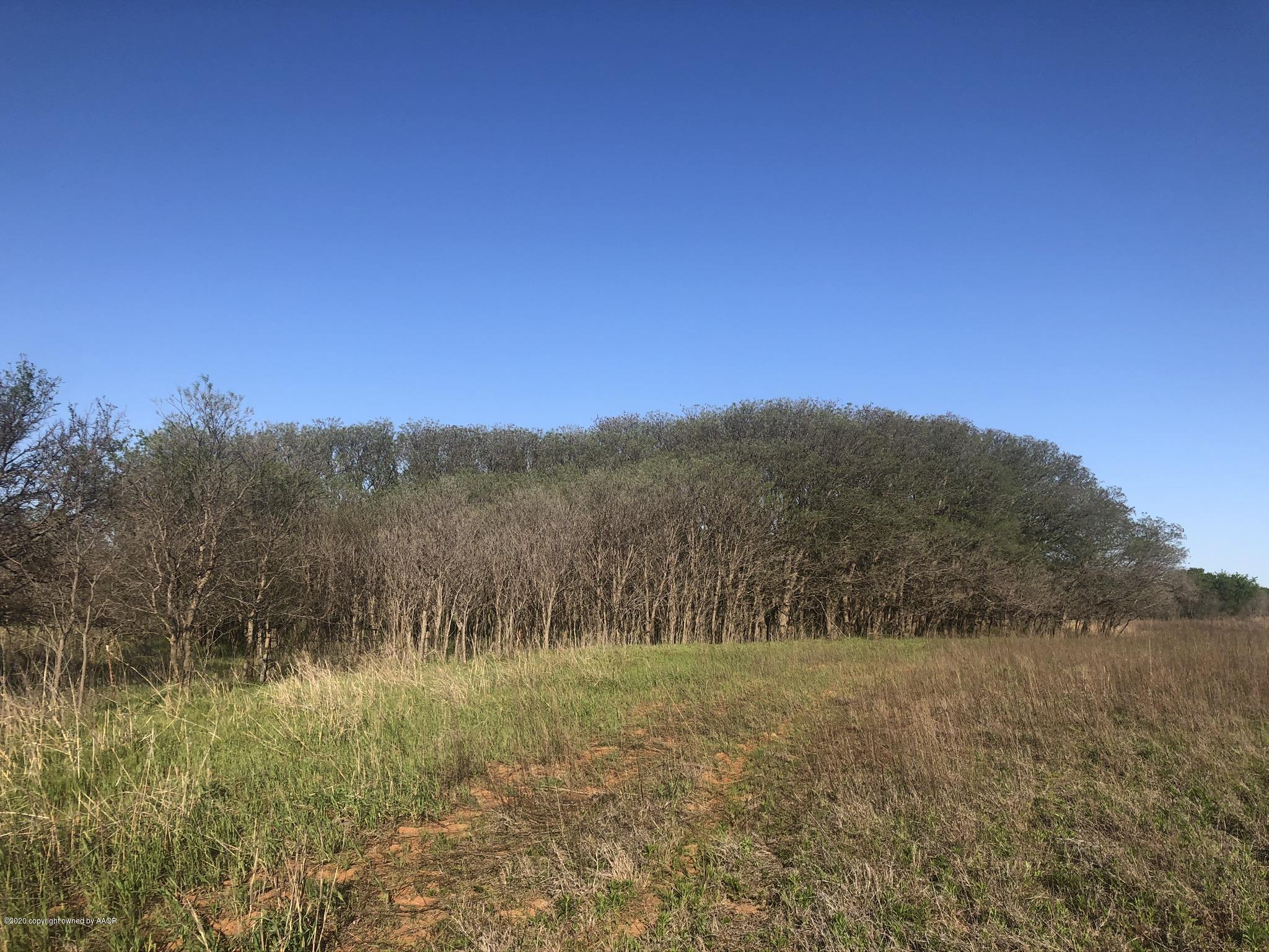 268 & Co Road Childress, TX 79201 - Photo 5 of 44 IMG_9096