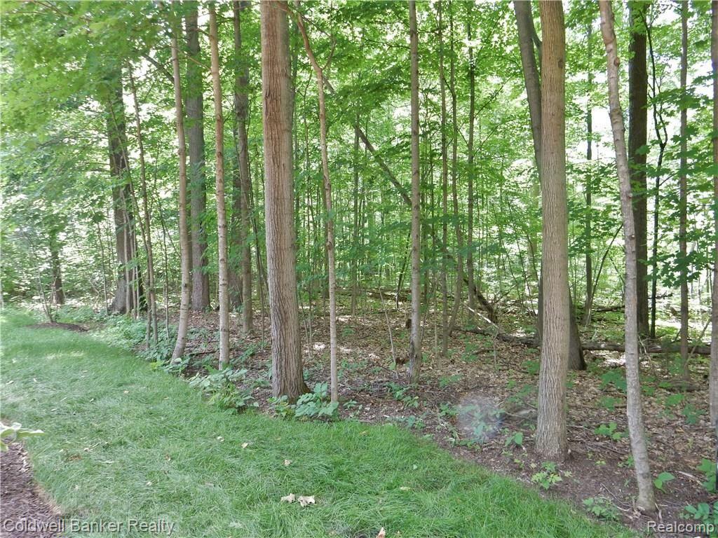 49650 Timber Trail Novi, MI 48374 - Photo 19 of 19