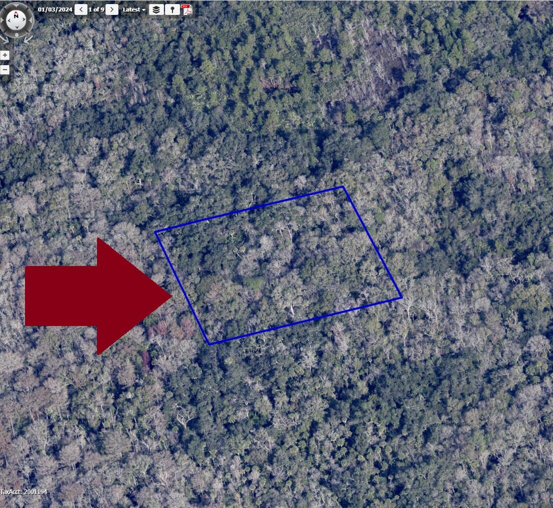 0 No Access W Of Meadows Green Road Mims, FL 32754 - Photo 2 of 3 a picture of a yard
