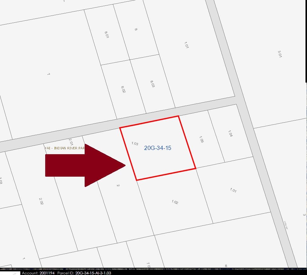 0 No Access W Of Meadows Green Road Mims, FL 32754 - Photo 3 of 3