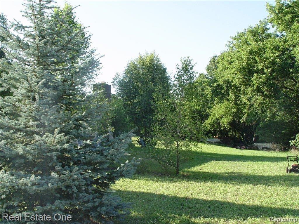DSC05500