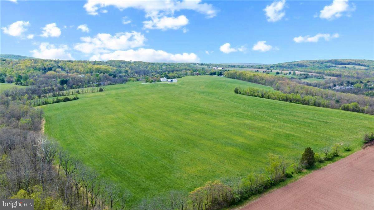 215 Nockamixon Road Kintnersville, PA 18930 - Photo 51 of 55 a view of a green field with lots of bushes