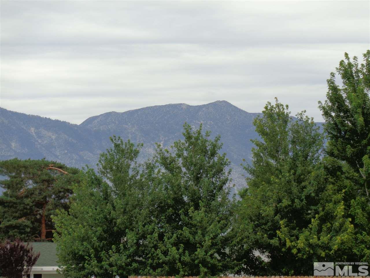 980 Dresslerville Road Gardnerville, NV 89460 - Photo 17 of 24 Photo 17