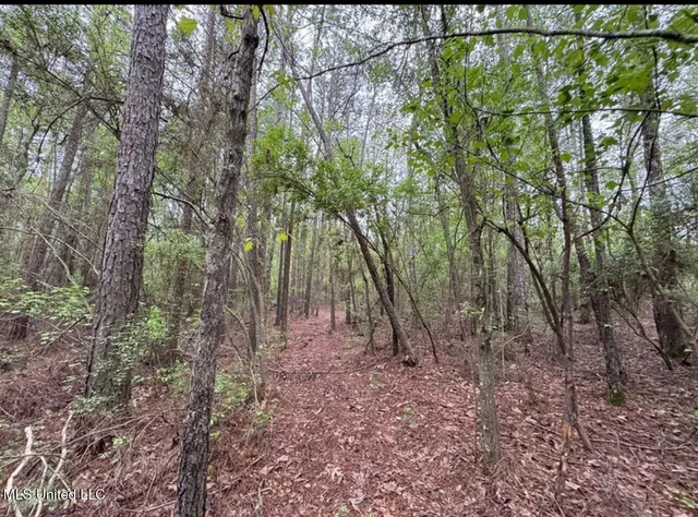 $50,000 | 0 Light Plant Road, Monticello, MS 39654