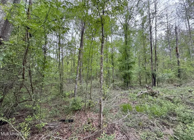 $50,000 | 0 Light Plant Road, Monticello, MS 39654