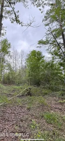 $50,000 | 0 Light Plant Road, Monticello, MS 39654