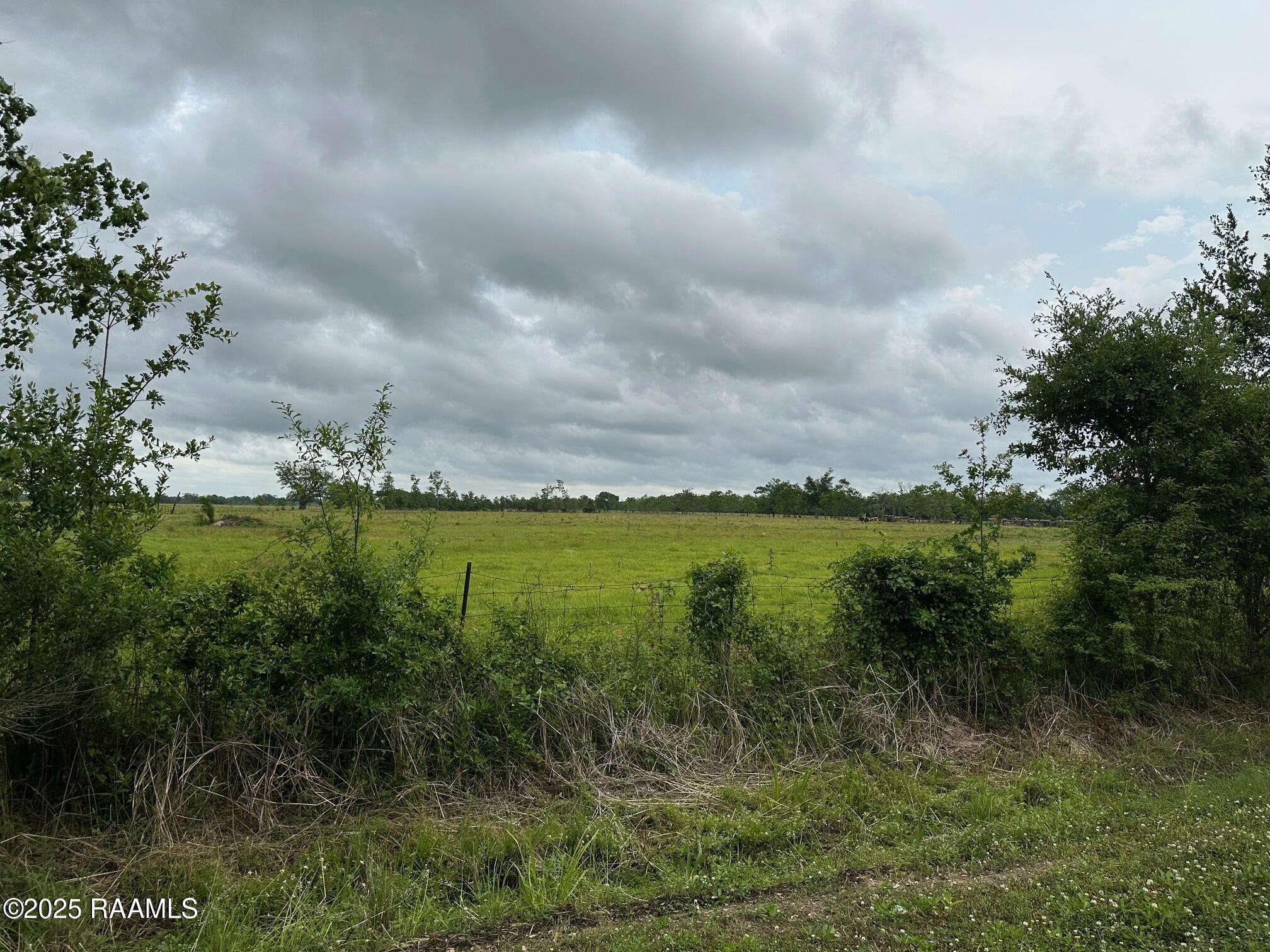 0 Boyance Road Erath, LA 70533 - Photo 9 of 18 IMG_2631