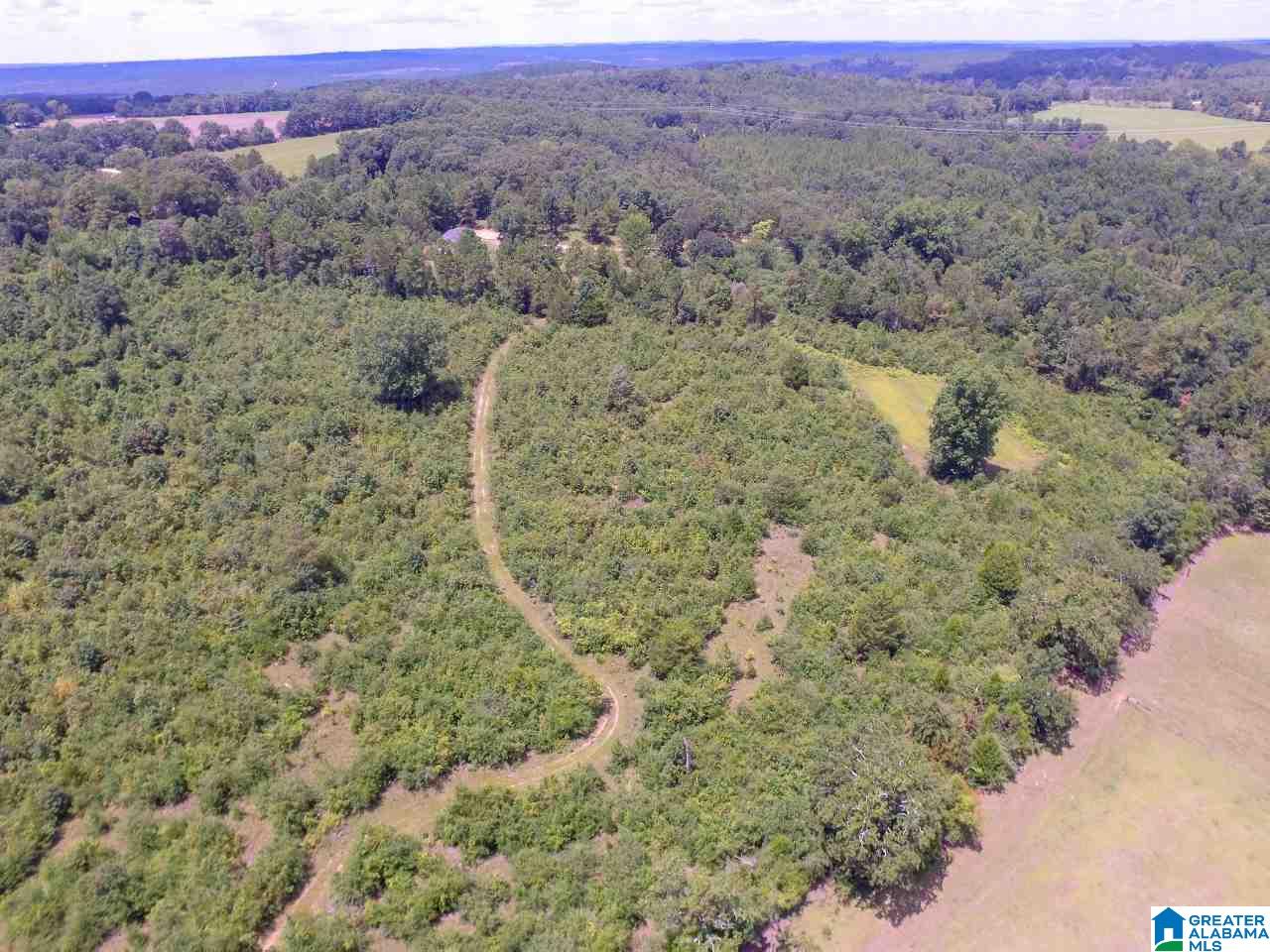 3647 County Road 22 Jones, AL 36749 - Photo 41 of 43
