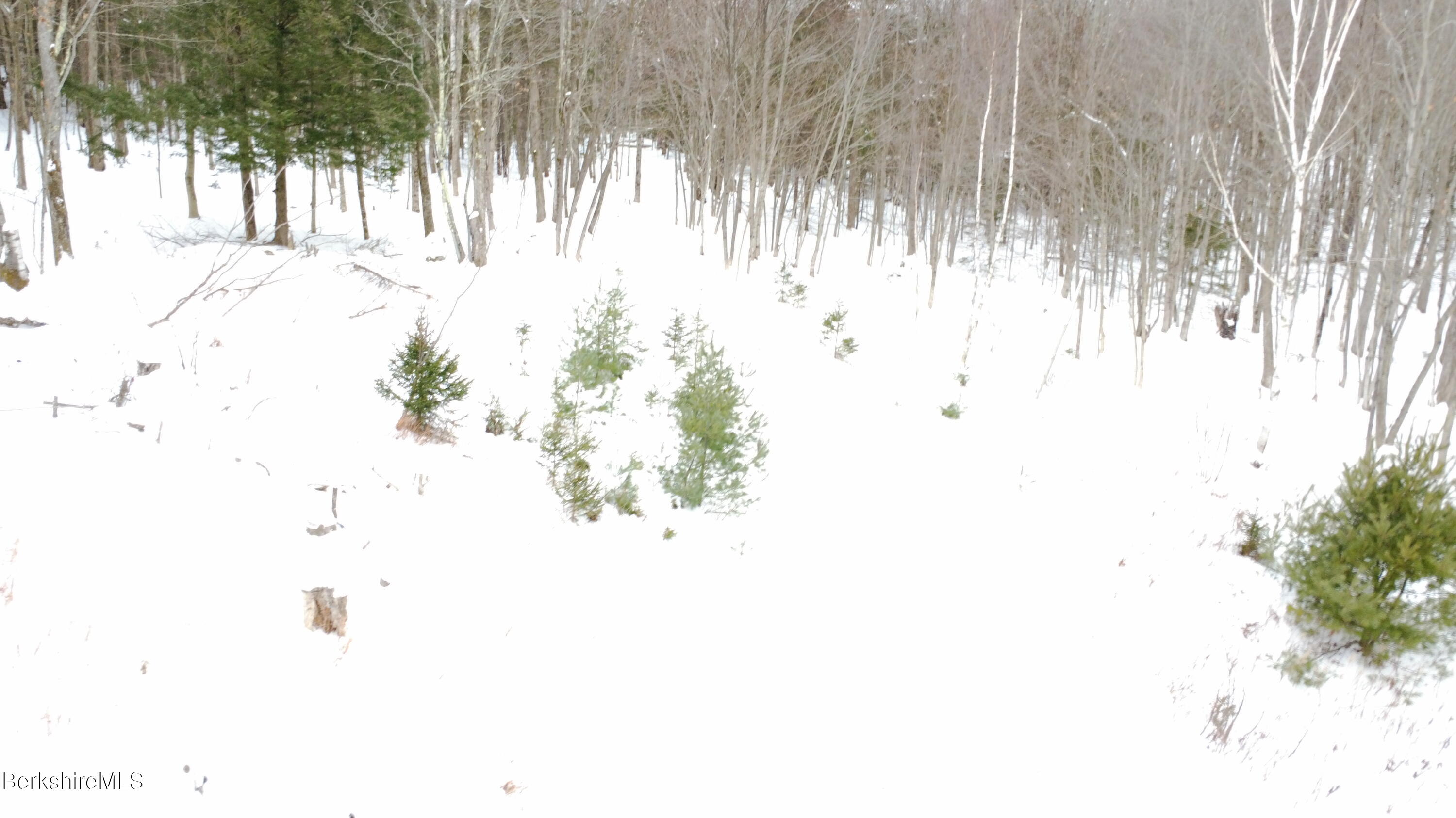 140 Strykers Road Florida, MA 01247 - Photo 13 of 23 foundation hole pre dug