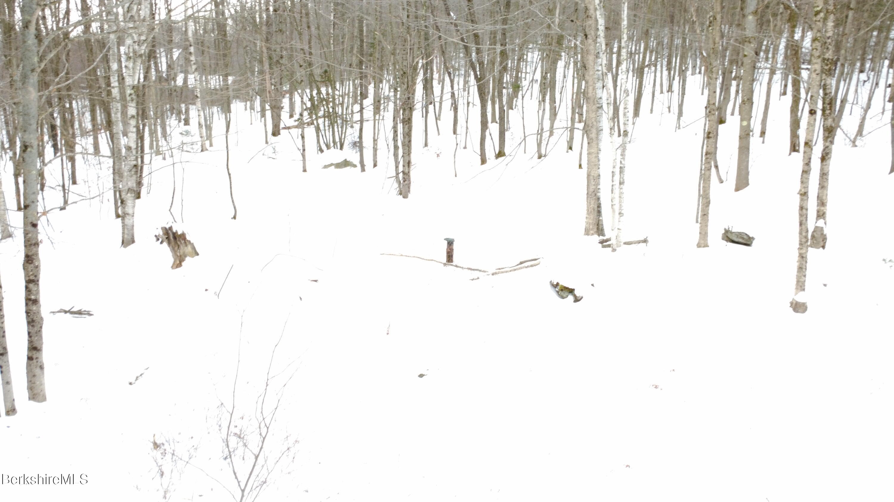 140 Strykers Road Florida, MA 01247 - Photo 15 of 23 440 foot artesinal well on property