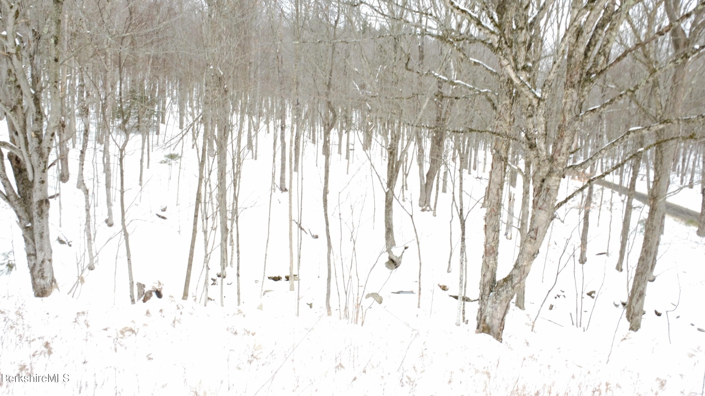 140 Strykers Road Florida, MA 01247 - Photo 17 of 23 woods