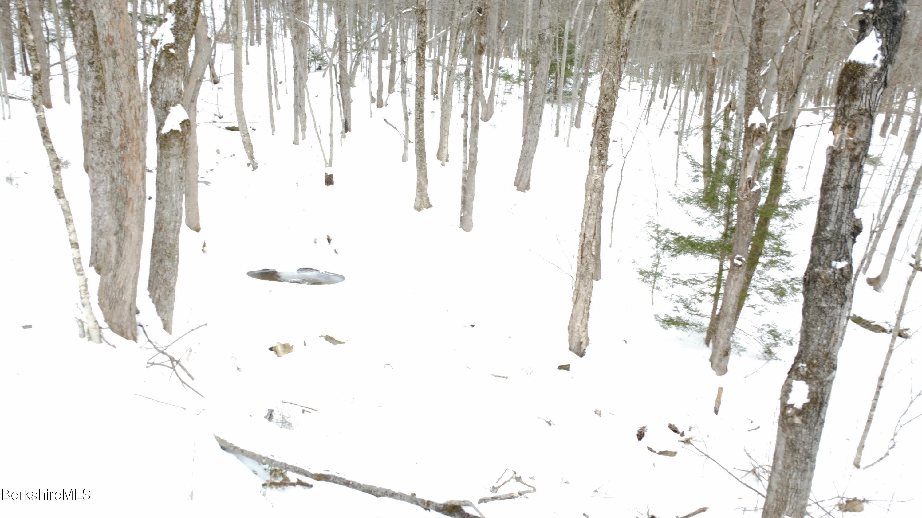 140 Strykers Road Florida, MA 01247 - Photo 19 of 23 stream on property