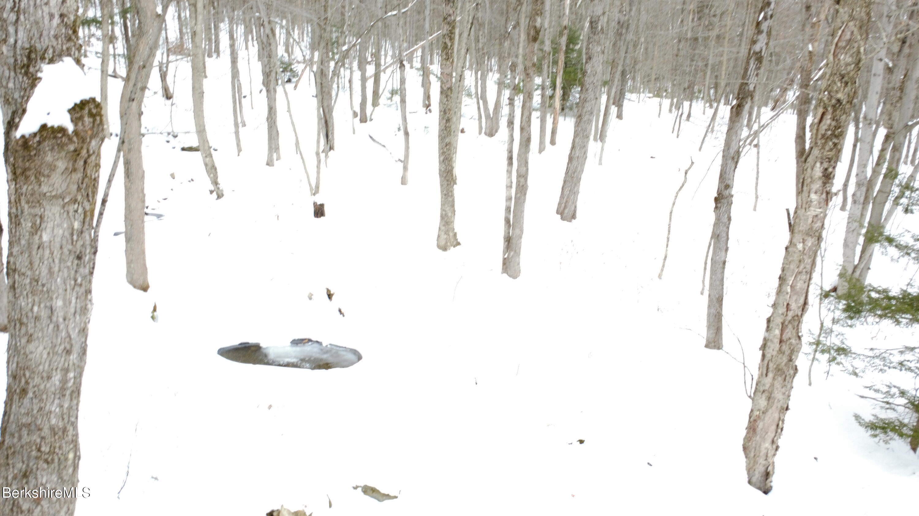 140 Strykers Road Florida, MA 01247 - Photo 20 of 23 stream covered in snow/ice