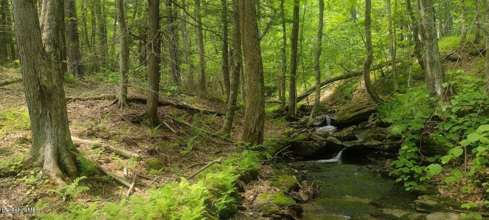 140 Strykers Road Florida, MA 01247 - Photo 2 of 23 stream waterfalls on property