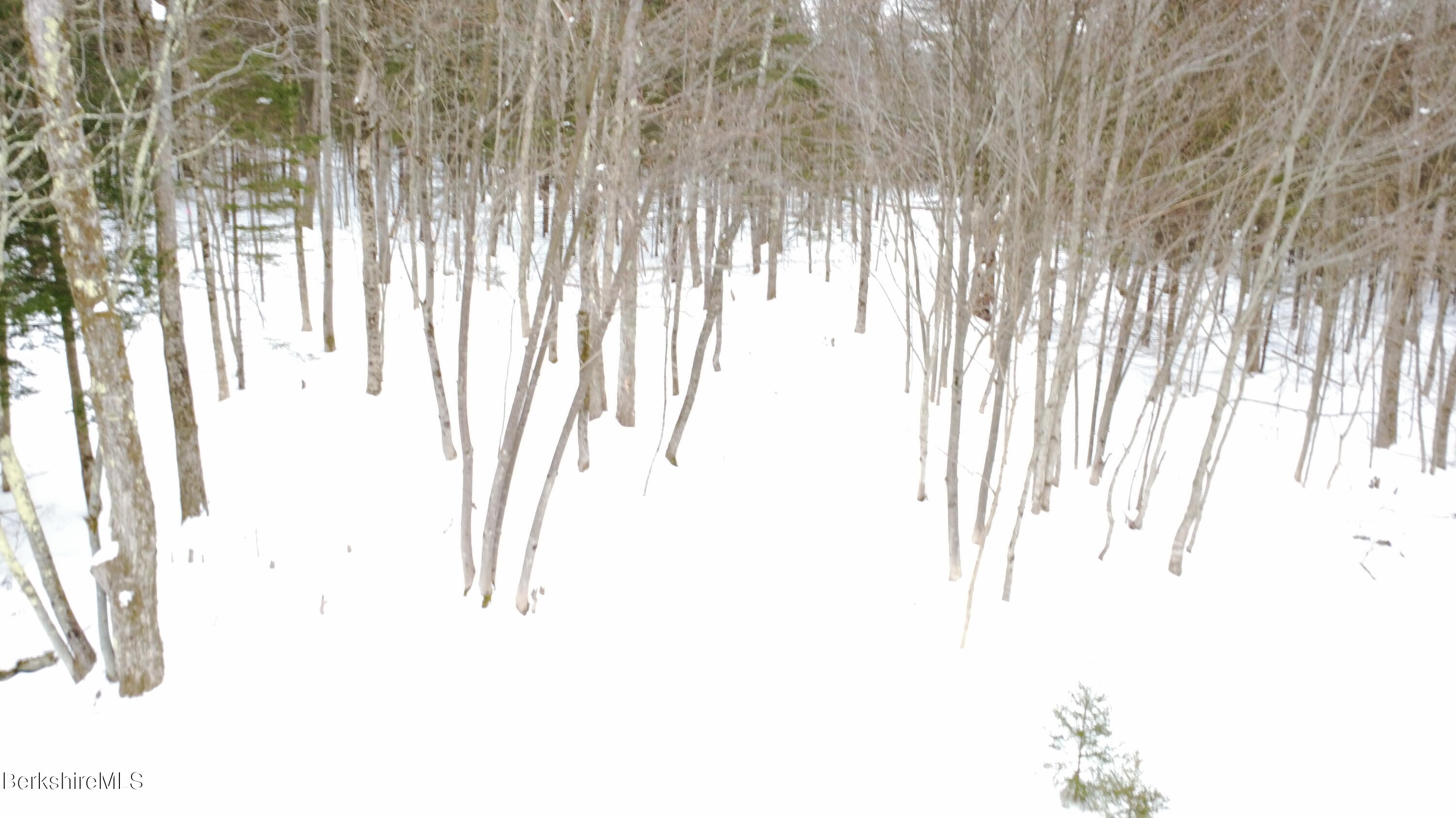 140 Strykers Road Florida, MA 01247 - Photo 21 of 23 beautiful woods on property